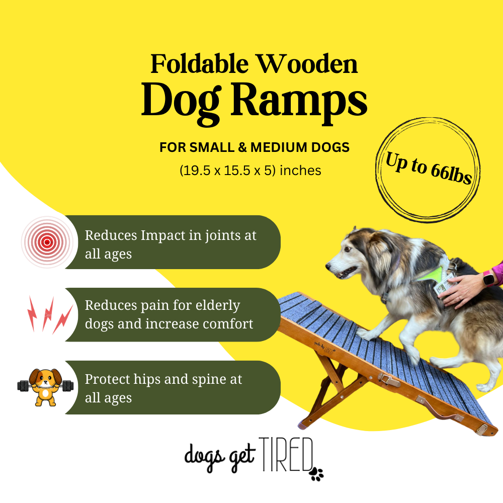 39" Foldable Portable and Anti-Slip Dog Ramp for Small and Medium Sized Dogs