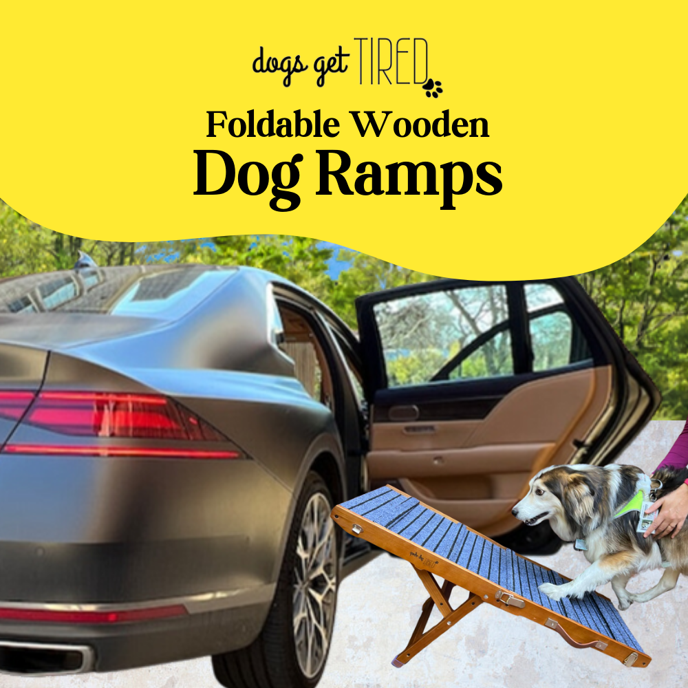 39" Foldable Portable and Anti-Slip Dog Ramp for Small and Medium Sized Dogs