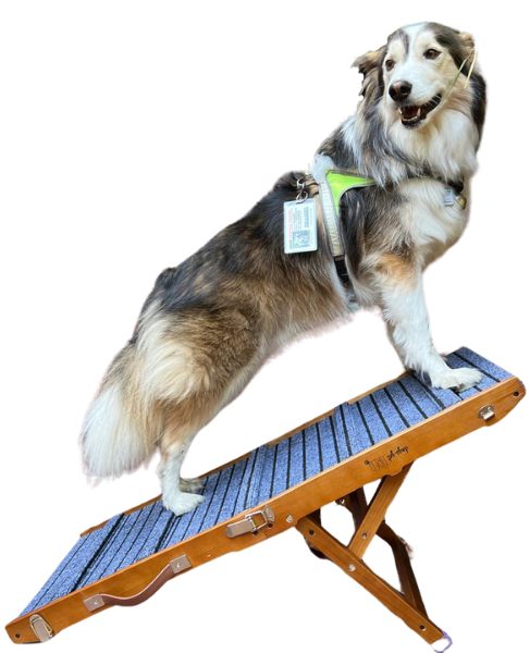 39" Foldable Portable and Anti-Slip Dog Ramp for Small and Medium Sized Dogs